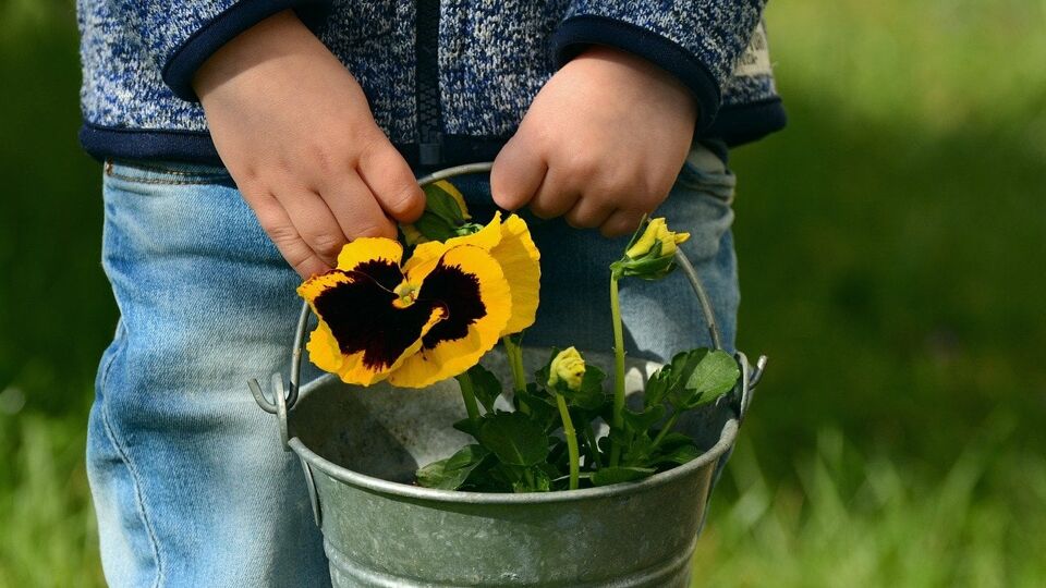 Permaculture : économisez en jardinant avec MonJardinBio