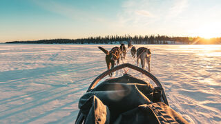 Early Booking hiver